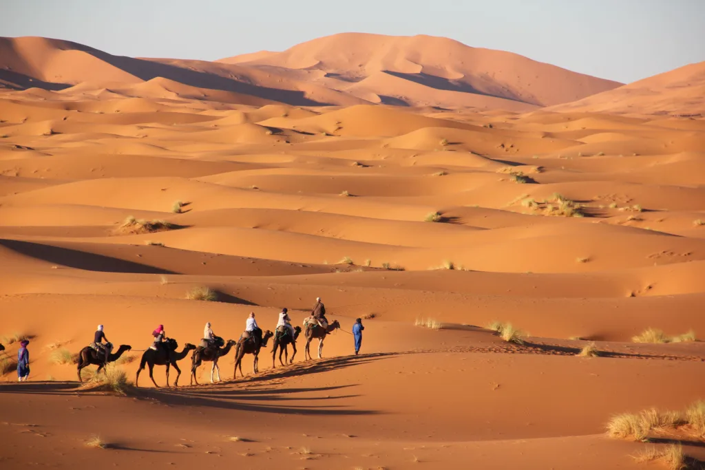 Excursión Oasis Ouarzazate (2 días)