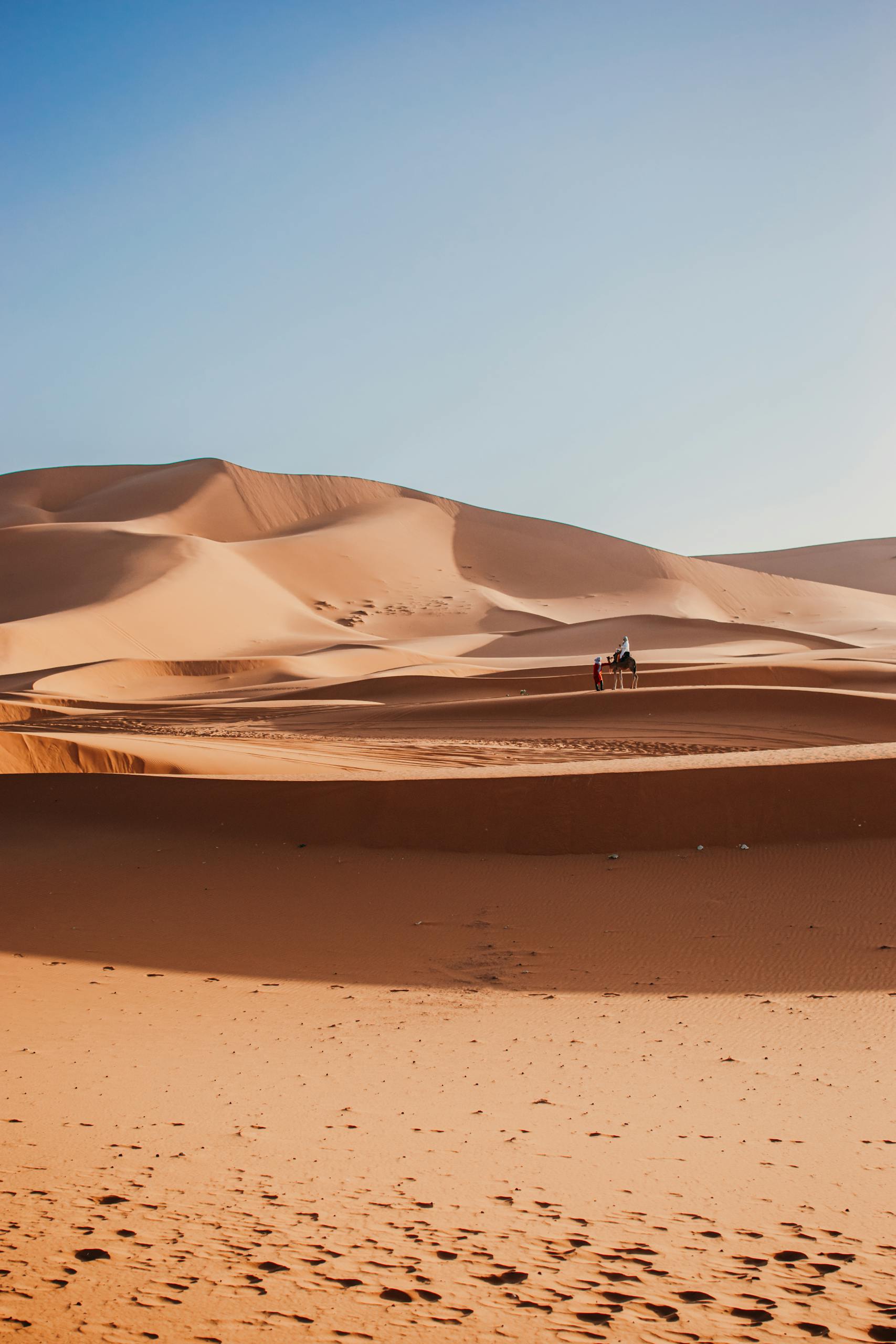 A breathtaking view of Merzouga's sand dunes in Morocco during sunrise, with soft lighting and warm tones.
Desierto del Sahara