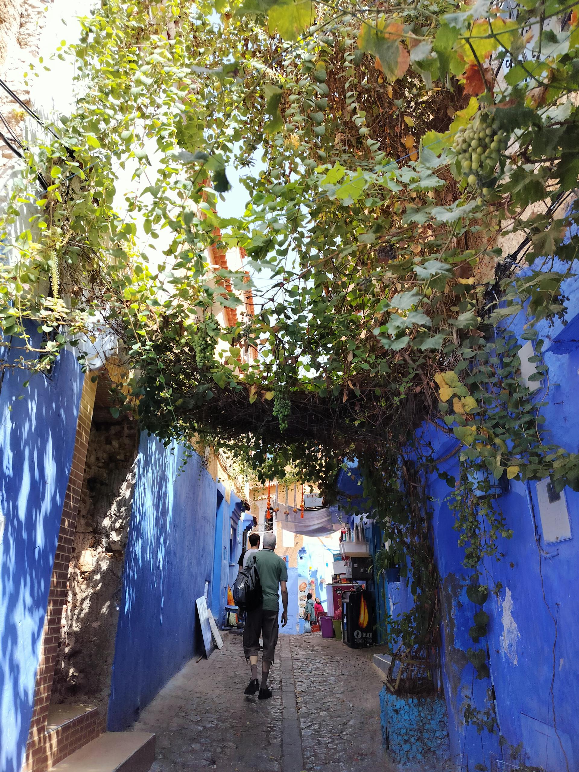 A colorful alleyway in Chefchaouen, Morocco with a lush overhead canopy.
