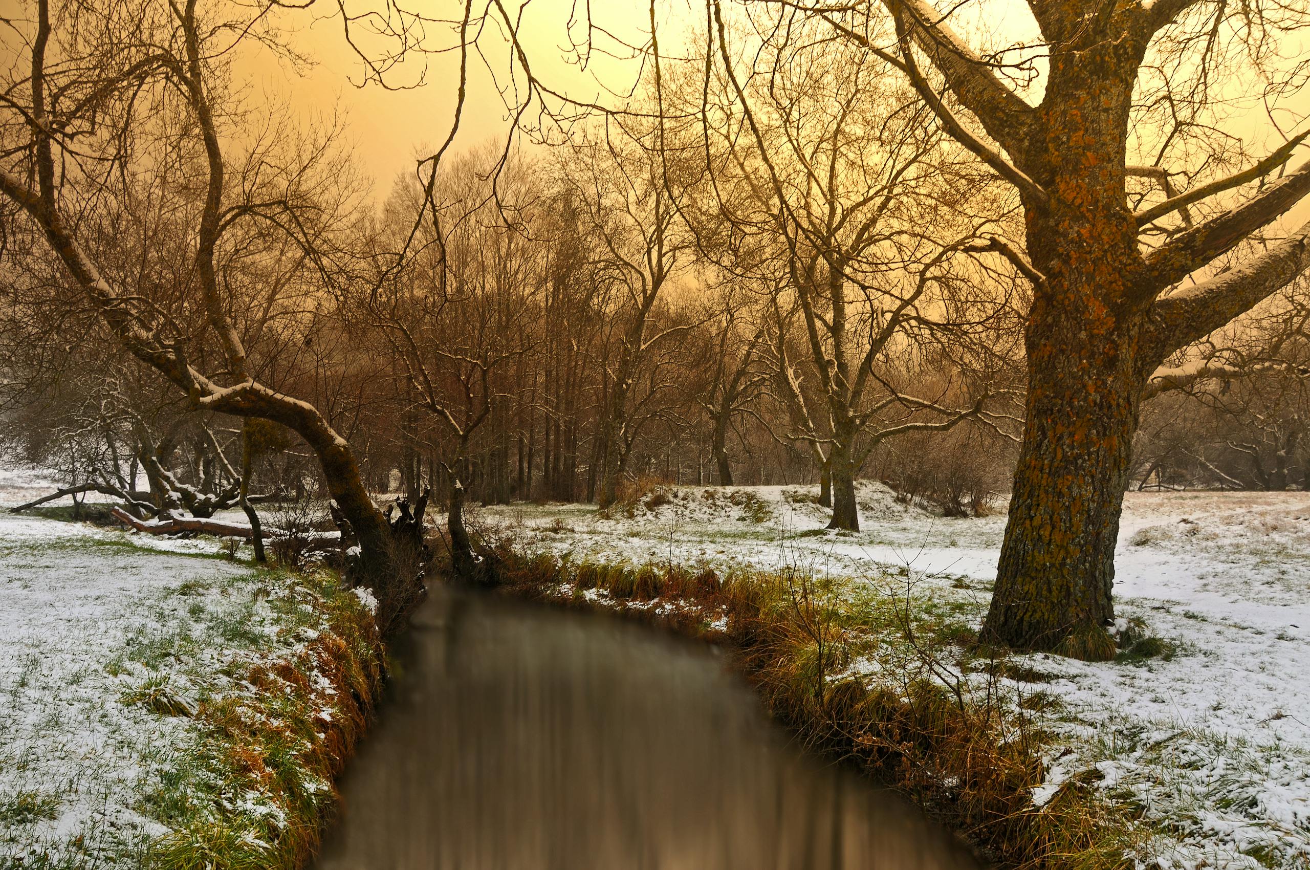 A tranquil winter landscape featuring a snow-covered stream in Ifrane, Morocco.