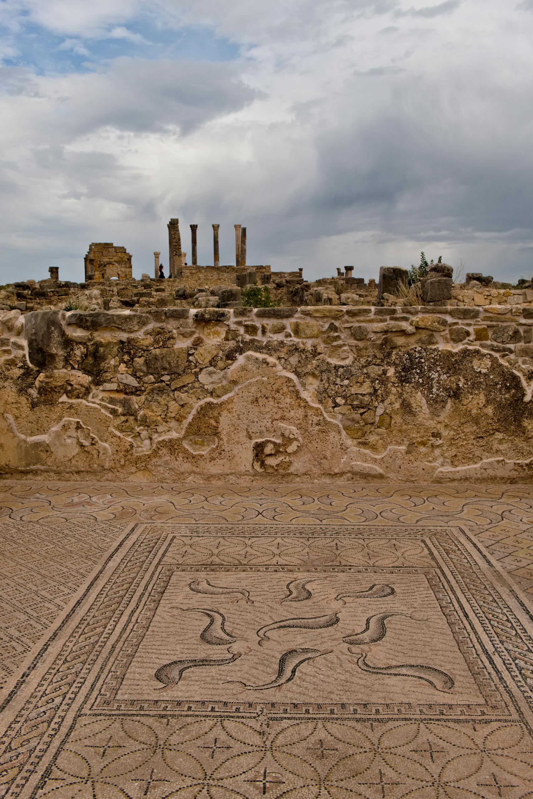 Explore the ancient ruins and intricate mosaics in Volubilis, Morocco's historic site.