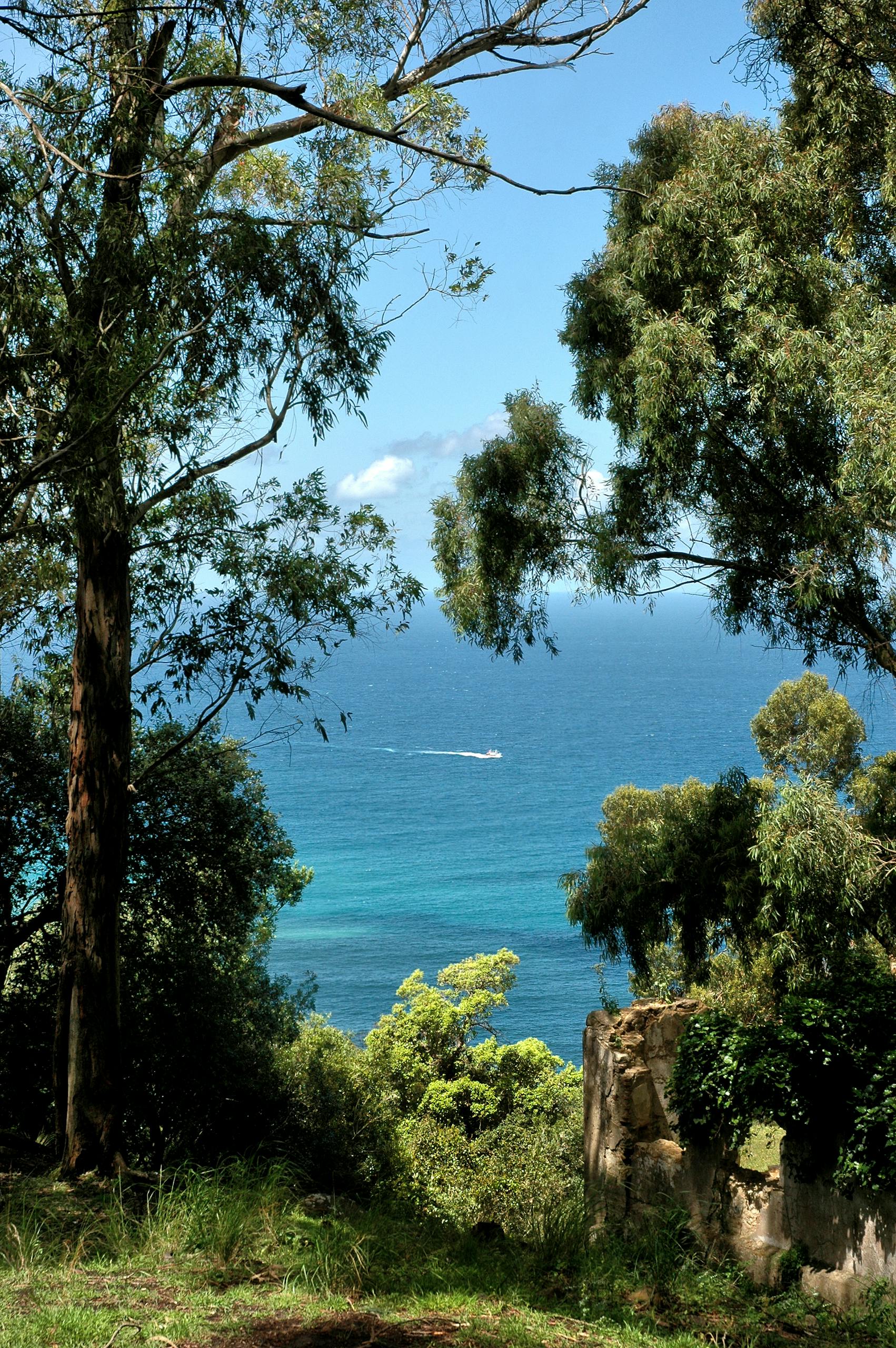 Lush green trees framing a stunning view of the Mediterranean Sea in Tangier, Morocco.